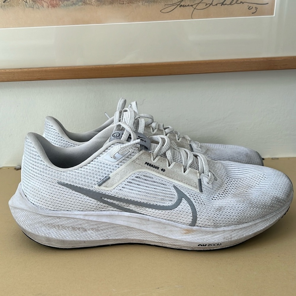 Nike Pegasus Running/Athletic shoe